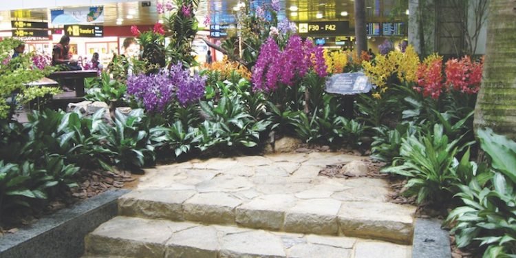 Pesona Bunga di Ruang Dalam