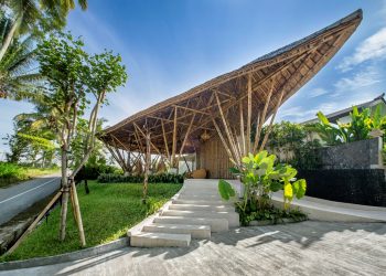 Bambu