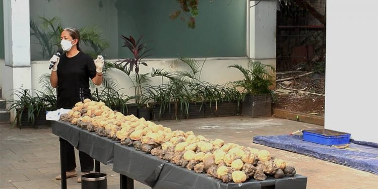 Amarah Ibu Bumi | Furious Mother Earth