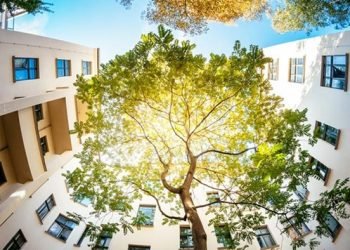 Signify kembali menjadi anggota Dow Jones Sustainability World Index  