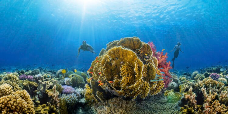 Perjalanan Mewah Penuh dengan Romansa