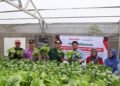Sharp Hydro Heroes Berdayakan Ibu Muda Lewat Pertanian Hidroponik