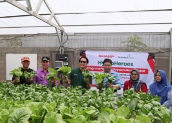 Sharp Hydro Heroes Berdayakan Ibu Muda Lewat Pertanian Hidroponik