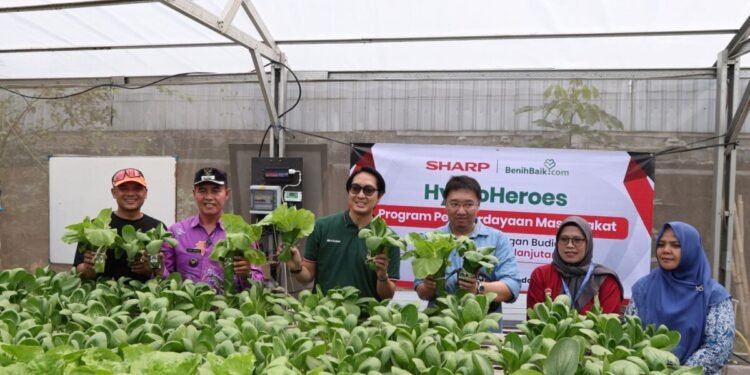 Sharp Hydro Heroes Berdayakan Ibu Muda Lewat Pertanian Hidroponik