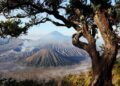 Kawasan Wisata Gunung Bromo Kembali Dibuka