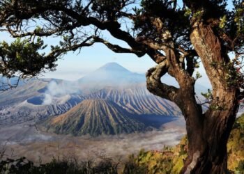 Kawasan Wisata Gunung Bromo Kembali Dibuka