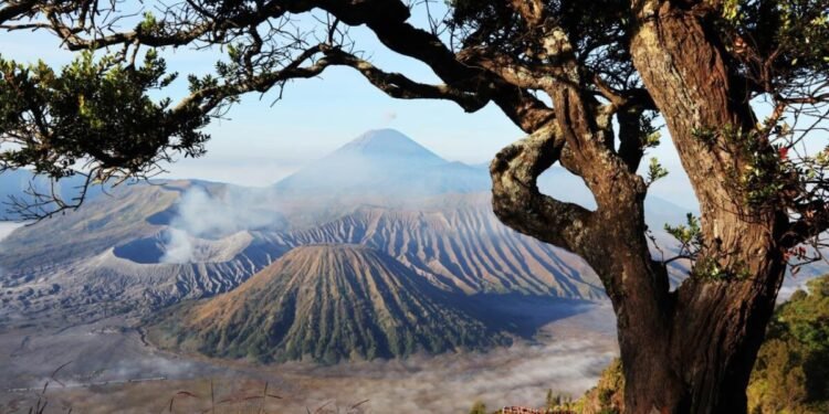 Kawasan Wisata Gunung Bromo Kembali Dibuka